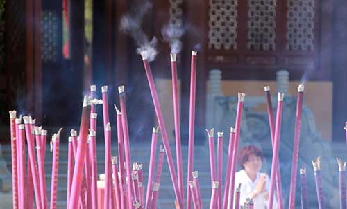 用什么花供佛好_供佛用什么花好_供佛堂用什么花好