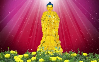 违背天道而行，就会遭致灾殃
