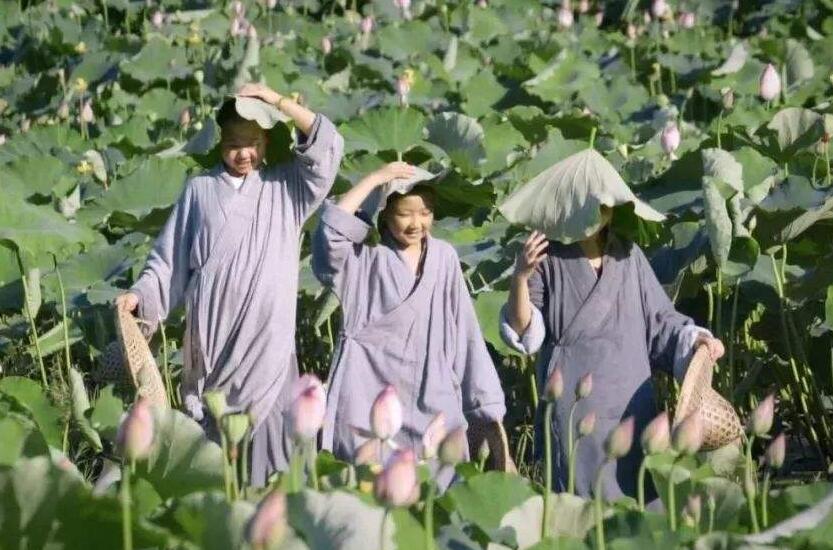 比丘尼经典语录