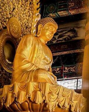 延生普佛是什么