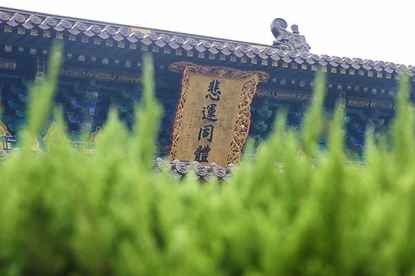 十二因缘都是什么