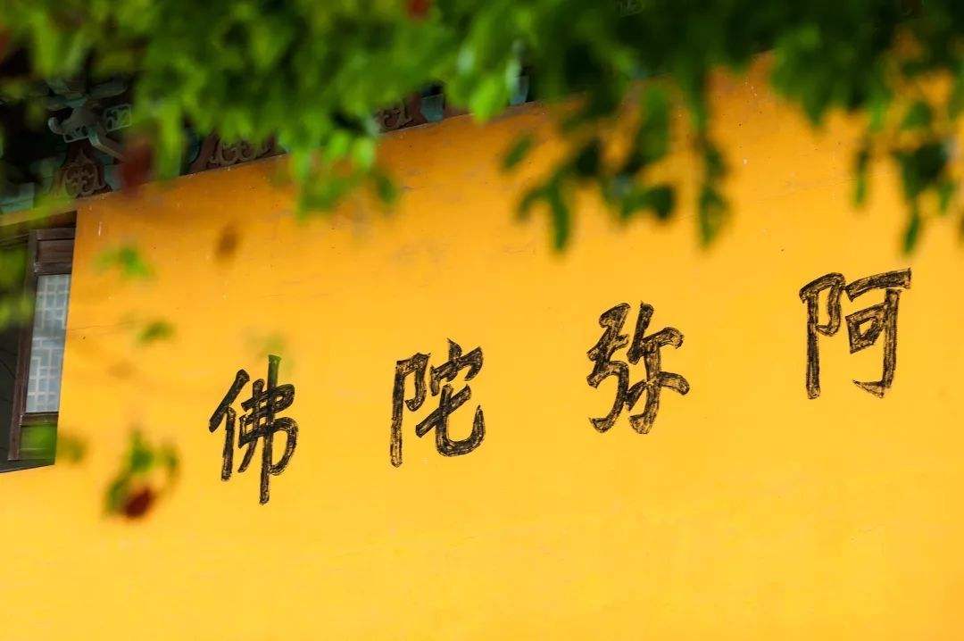 修净土法门要了解哪十件事