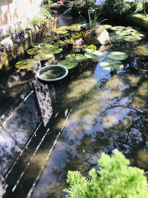 戒定慧中的智慧