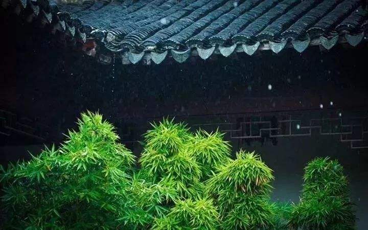 娑婆世界的真相
