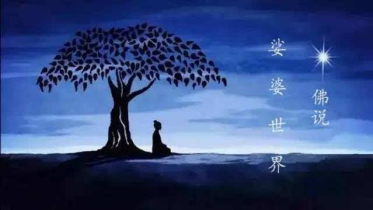 娑婆世界的真正涵义是什么？
