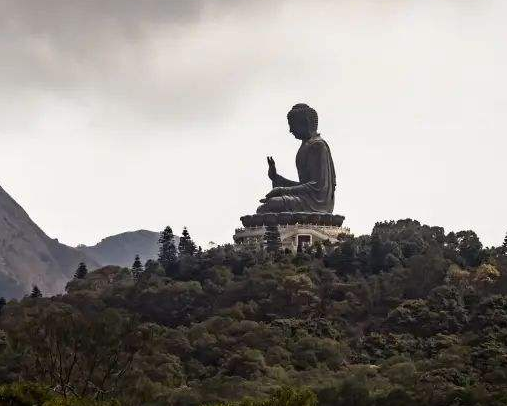 四谛的修行目的是什么