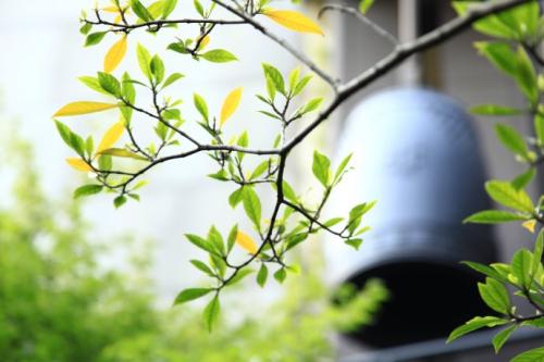 五蕴包含了哪些种类？