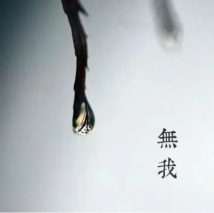 什么是无常无我？