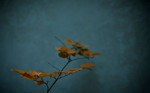 无我简要解释