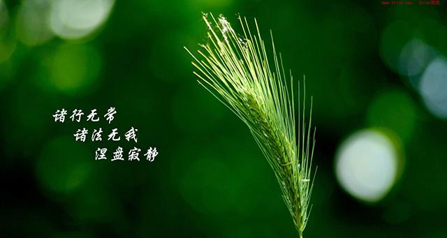 无我境界是怎样的？