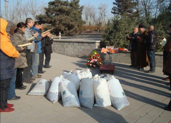 顶礼是什么意思