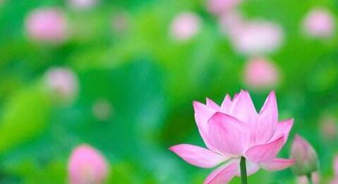 六波罗蜜的意义