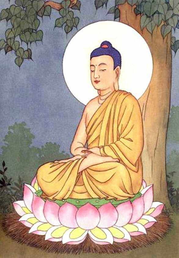 世尊为何说净土法门