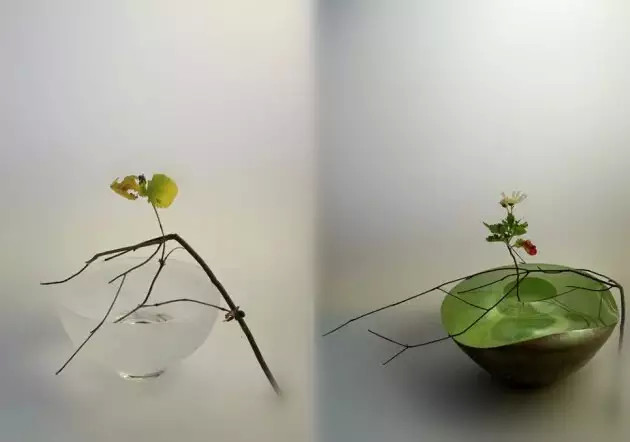如何专注的念一句佛号