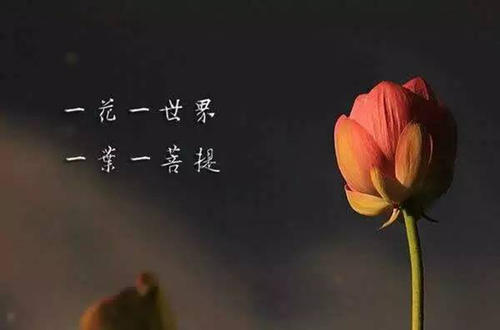 出离心讲的是什么