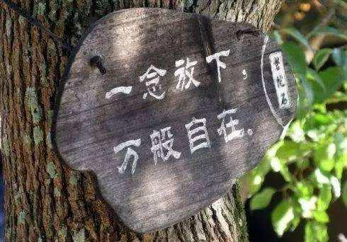 人生八苦是如何来的
