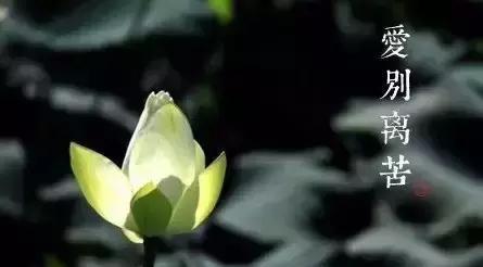 如何理解人生八苦
