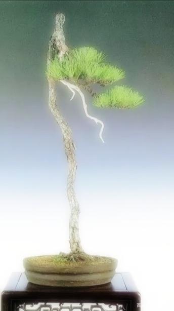 净宗法门：信心从哪里做起?