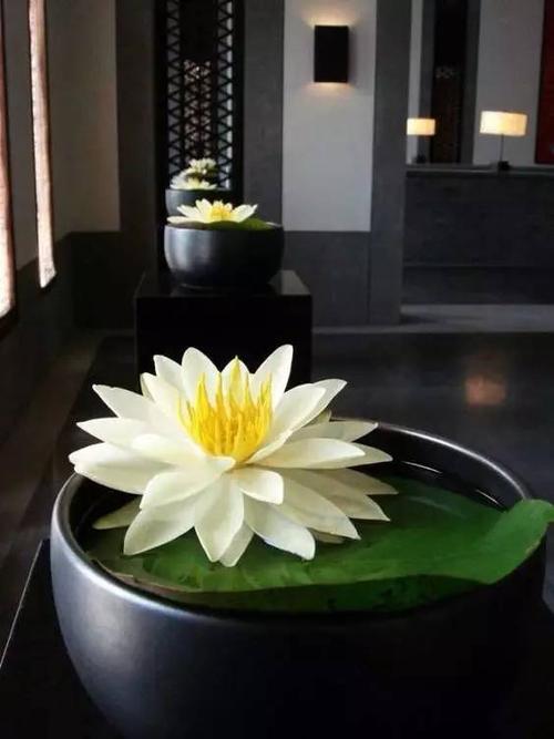 圆寂究竟是怎么操作的