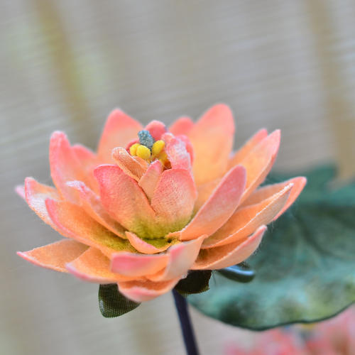 缦衣与海青有什么区别