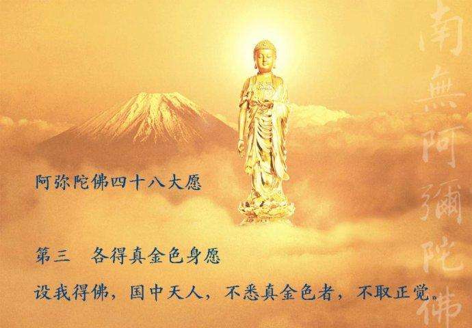 法藏法师用什么身看的世界