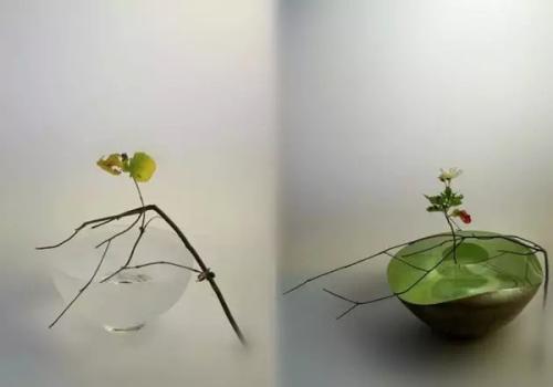 如何起法名