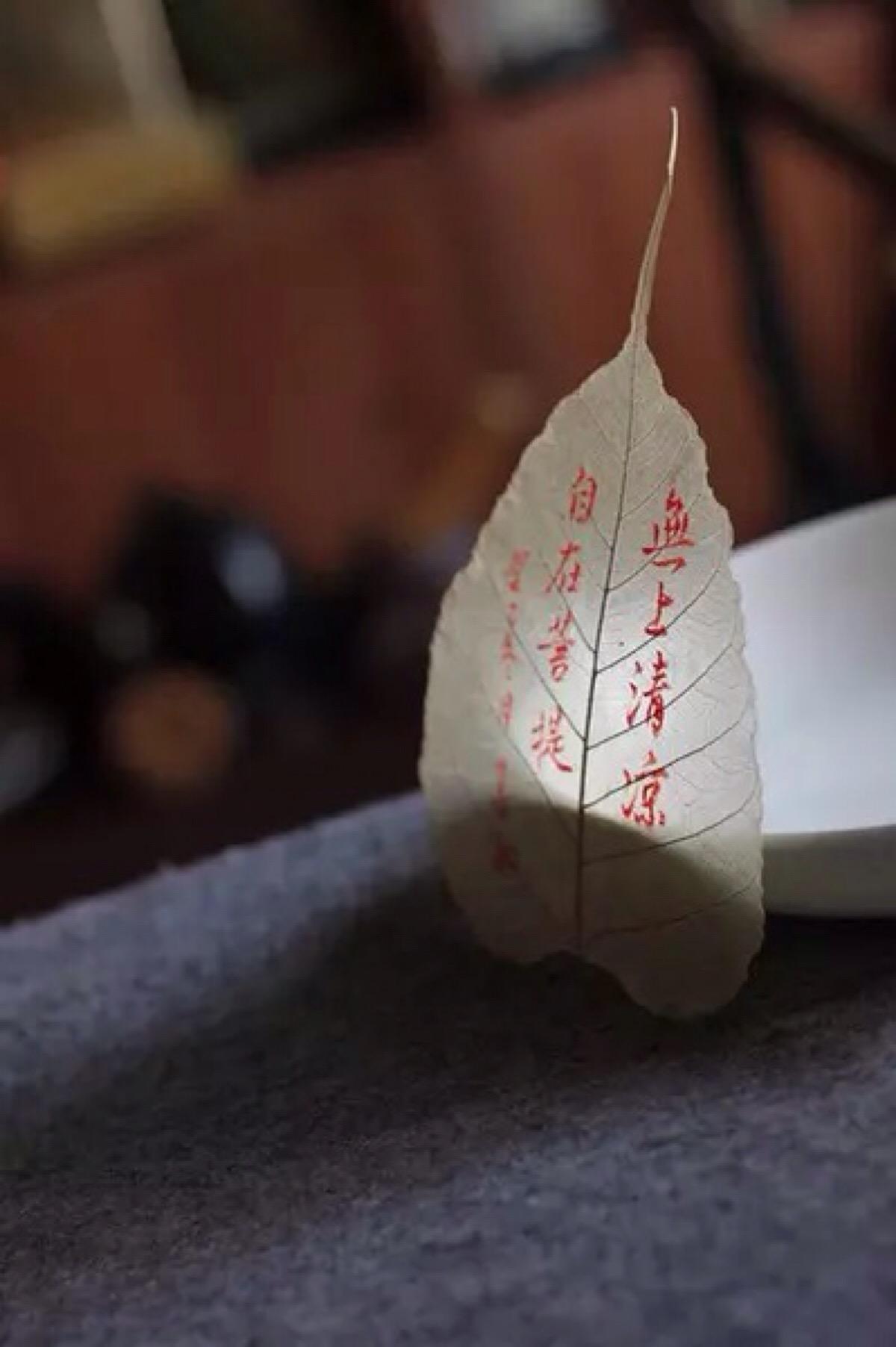 什么是『妄语、恶口、两舌、绮语』四种口业