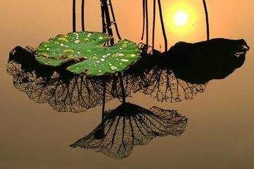 随喜有什么重要意义