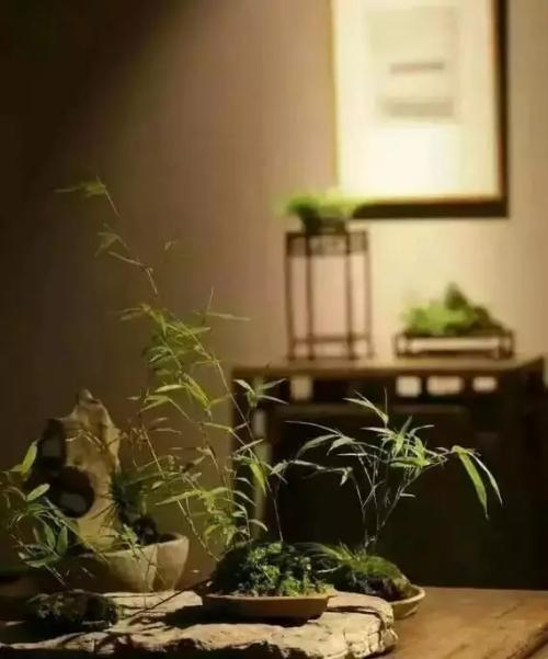 净空法师讲解最简单的十念法