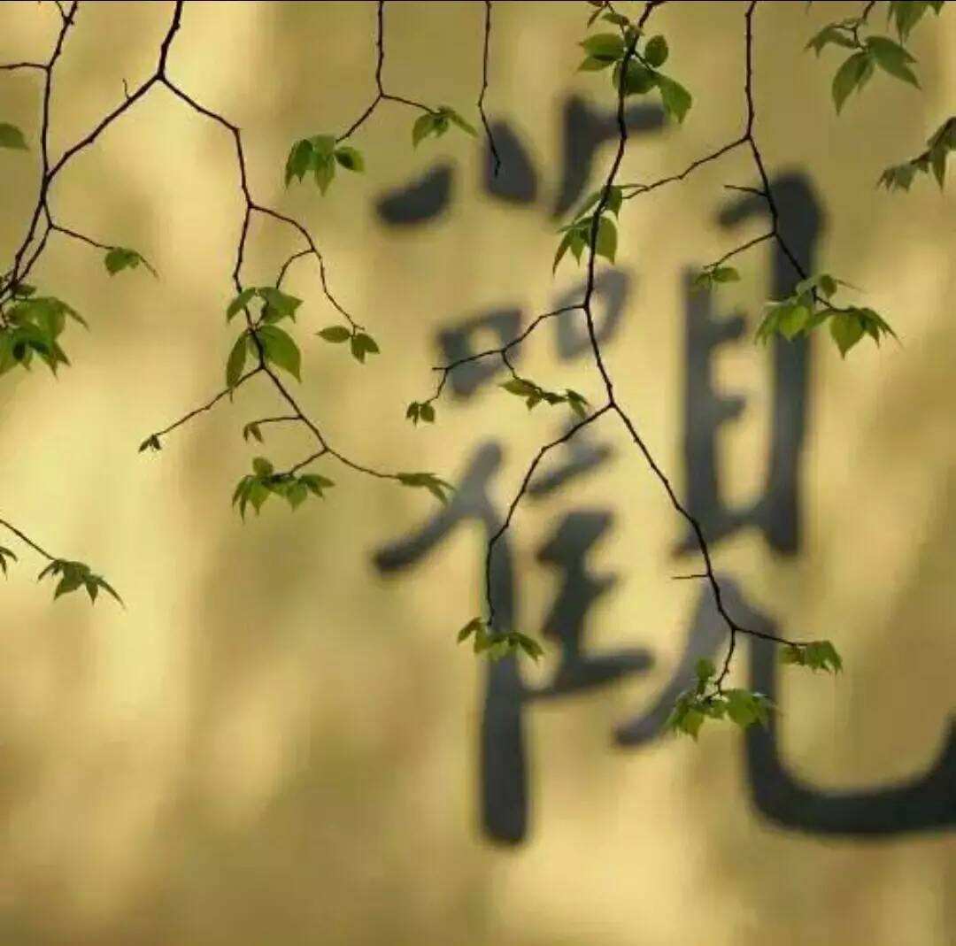 不律仪_恶律仪