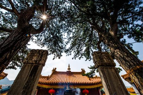 佛教禅林与山林意思一样吗
