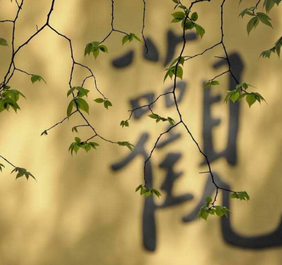 如何理解慧命