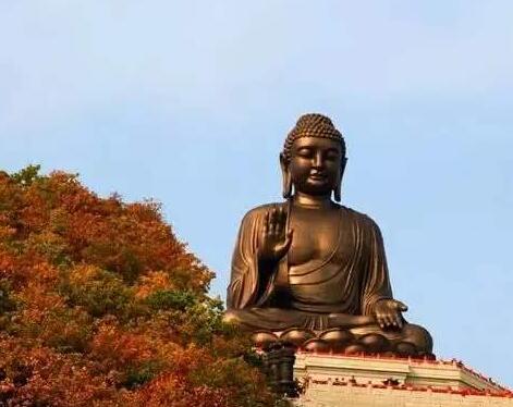 我执从哪里来的