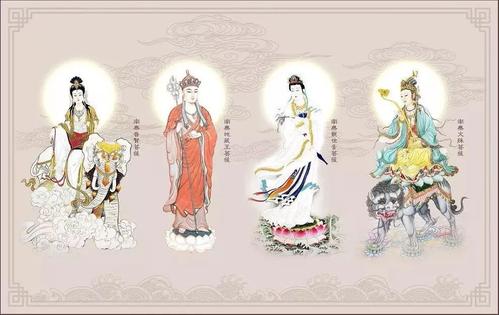 如何做到不净观