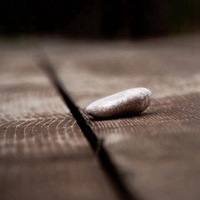 念佛法门的两个根本原理