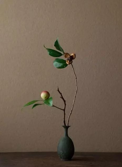 真如和实相的意思是什么