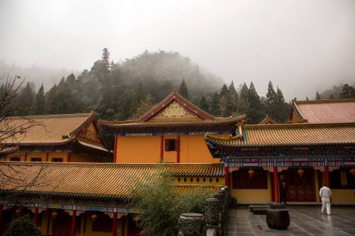 什么是式叉摩那尼