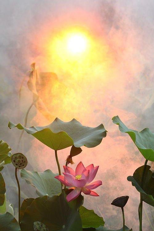 禅宗第十八代祖师伽耶舍多尊者