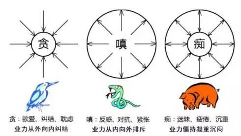 佛教中常提到的三毒是哪些