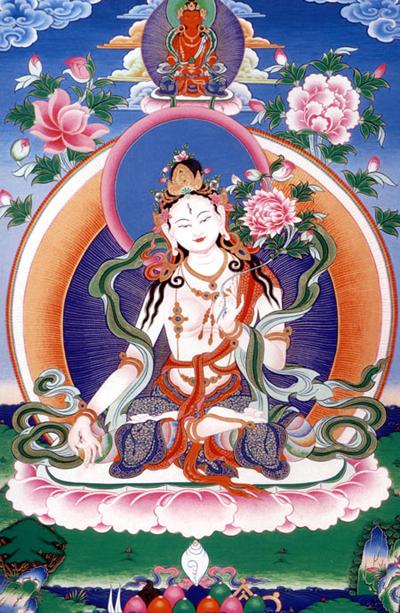 白度母的简介是什么