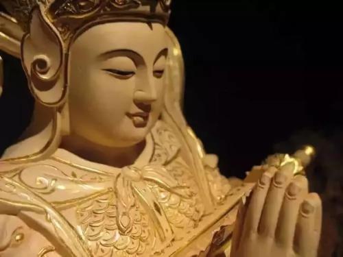 十波罗蜜的简介