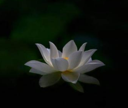 西天二十八祖之二十三祖鹤勒那