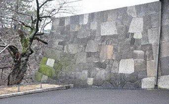所知障简介