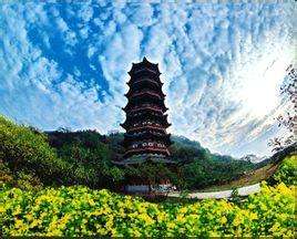 牛头宗的禅派