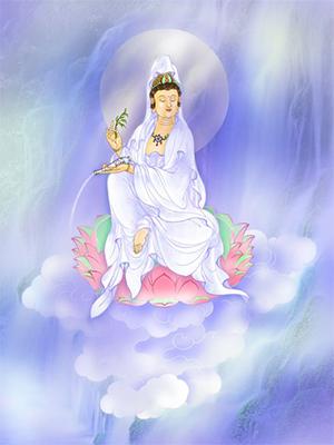 蛤蜊观音的来历