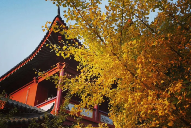 佛家七苦有何含义