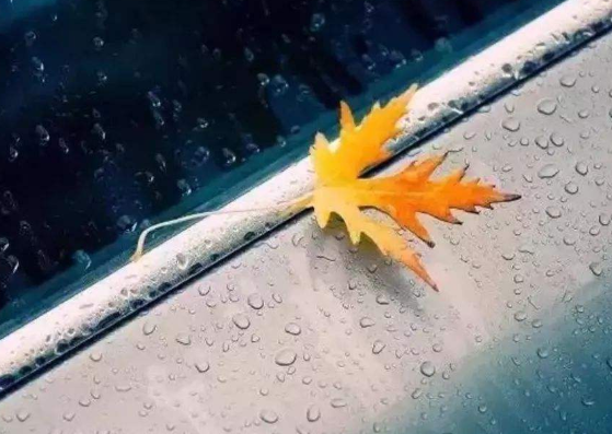 佛性真如的详解