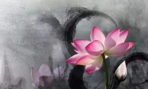 八触是什么
