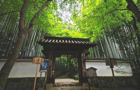 净土圣贤录白话：唐朝　高