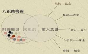 从六个维度来认知精神主体：八